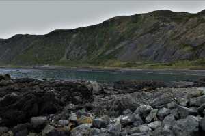 OWHIRO-BAY (19)